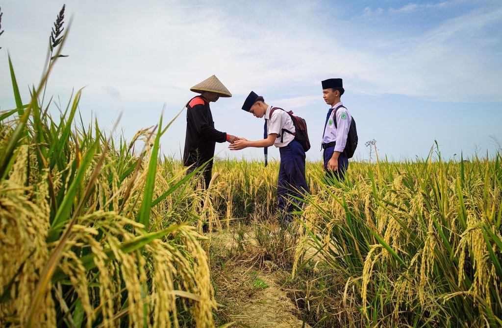 Filosofi Petani: Belajar Konsistensi dan Ketangguhan Demi Meraih Impian Akademis